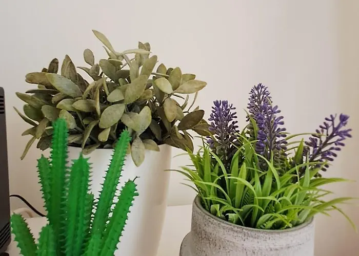 Luxo E Sossego * Albufeira